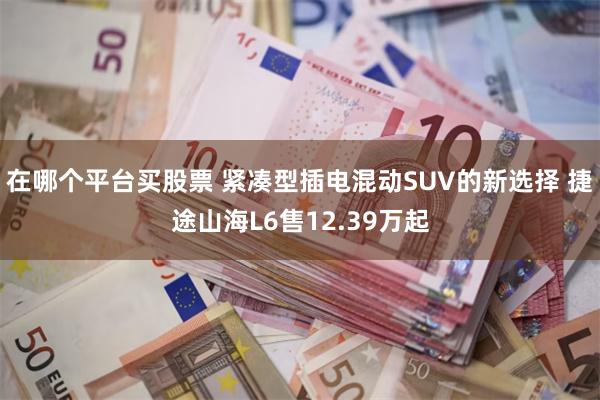 在哪个平台买股票 紧凑型插电混动SUV的新选择 捷途山海L6售12.39万起