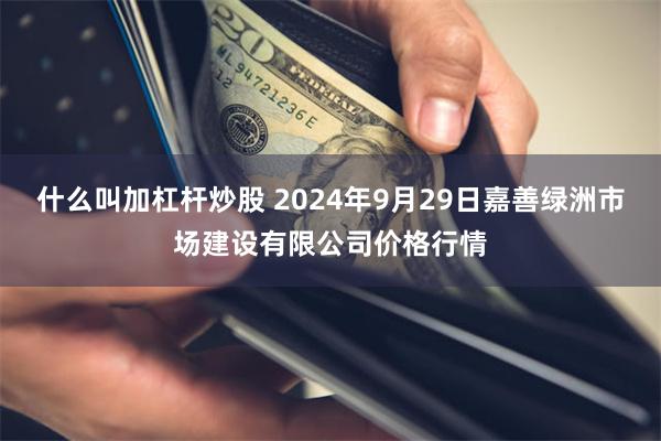 什么叫加杠杆炒股 2024年9月29日嘉善绿洲市场建设有限公司价格行情