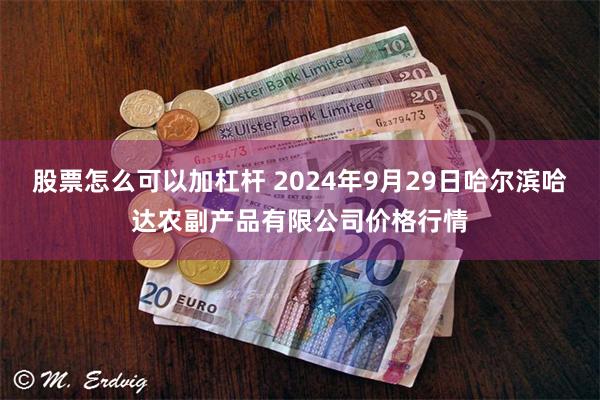 股票怎么可以加杠杆 2024年9月29日哈尔滨哈达农副产品有限公司价格行情