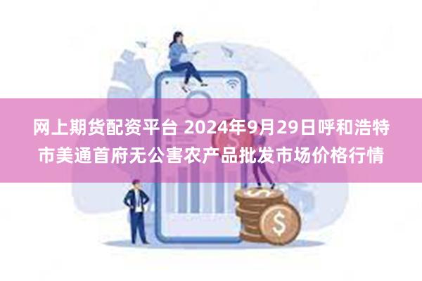 网上期货配资平台 2024年9月29日呼和浩特市美通首府无公害农产品批发市场价格行情