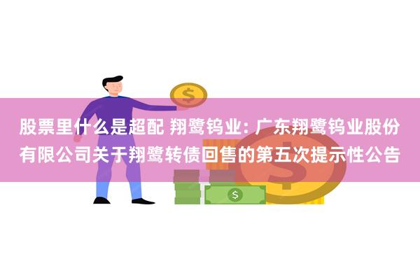 股票里什么是超配 翔鹭钨业: 广东翔鹭钨业股份有限公司关于翔鹭转债回售的第五次提示性公告