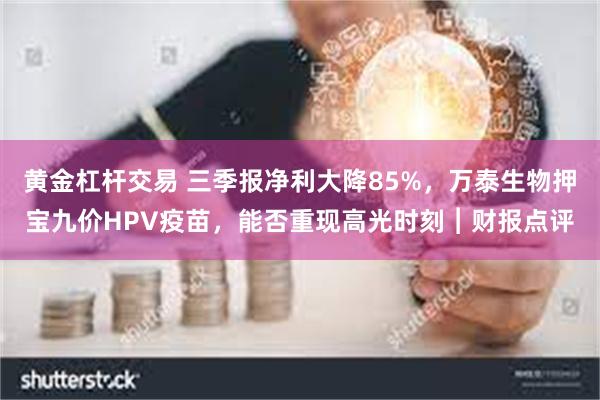 黄金杠杆交易 三季报净利大降85%，万泰生物押宝九价HPV疫苗，能否重现高光时刻︱财报点评