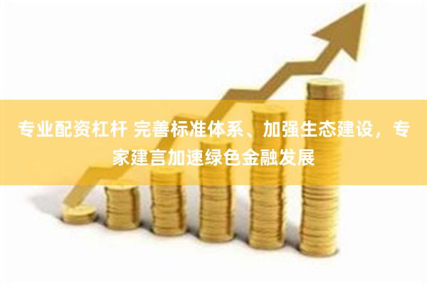 专业配资杠杆 完善标准体系、加强生态建设，专家建言加速绿色金融发展