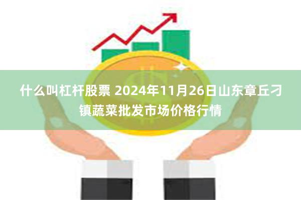 什么叫杠杆股票 2024年11月26日山东章丘刁镇蔬菜批发市场价格行情