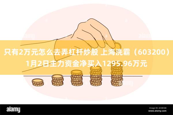 只有2万元怎么去弄杠杆炒股 上海洗霸（603200）1月2日主力资金净买入1295.96万元