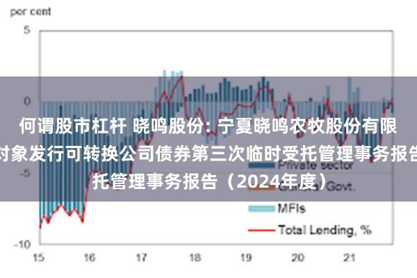 何谓股市杠杆 晓鸣股份: 宁夏晓鸣农牧股份有限公司向不特定对象发行可转换公司债券第三次临时受托管理事务报告（2024年度）