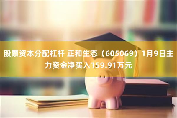 股票资本分配杠杆 正和生态（605069）1月9日主力资金净买入159.91万元