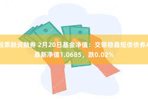 股票融资融券 2月20日基金净值：交银稳鑫短债债券A最新净值1.0685，跌0.02%